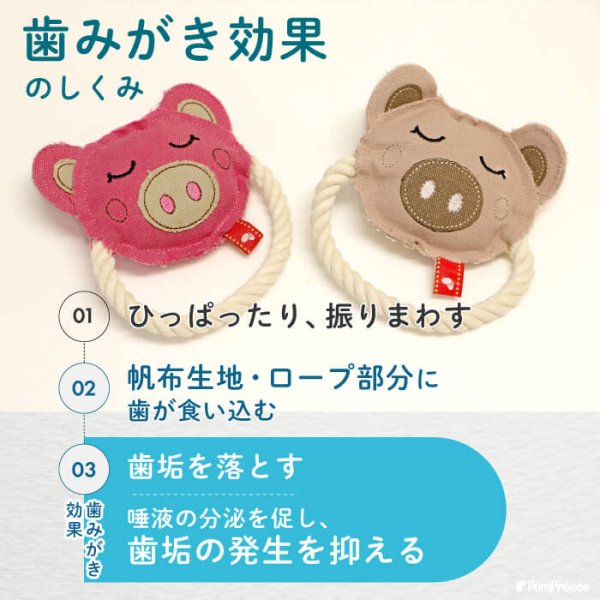 画像2: 【ポイント10倍で会員様はお得】ハードデンタルロープTOY ぶたさん (2)