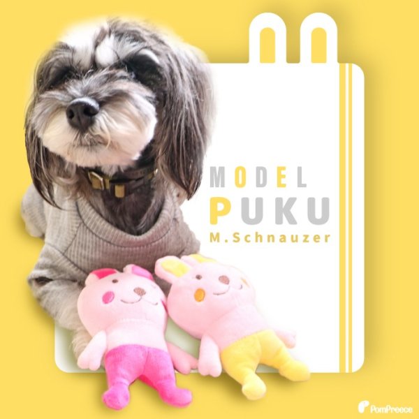 画像2: 【ポイント10倍で会員様はお得】 PeePeeTOY ラビットアスリート (2)