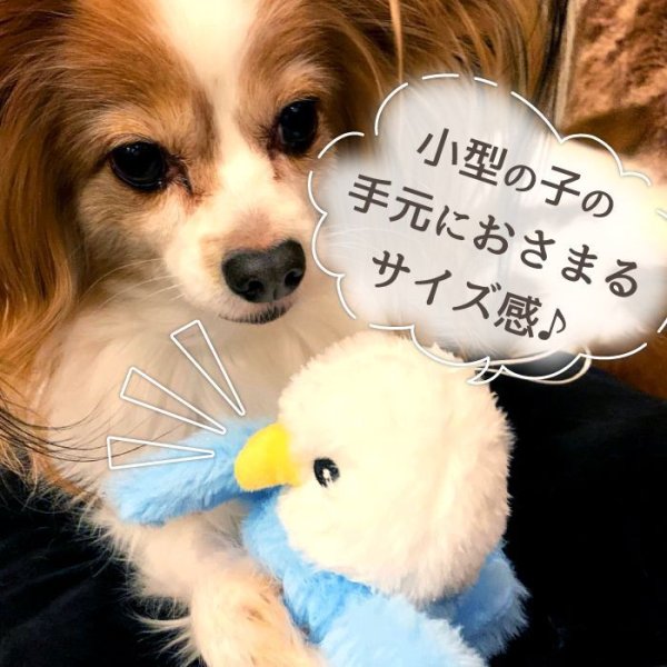 画像3: 【ポイント10倍で会員様はお得】 PeePeeTOY スマイルインコ (3)