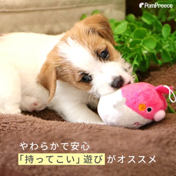 画像3: 【ポイント10倍で会員様はお得】 PeePeeTOY ハッピーピヨコ (3)