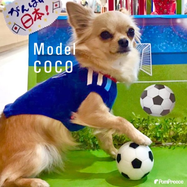 画像4: 【ポイント10倍で会員様はお得】  おもちゃ ボール 小型犬 大型犬 ペット用品 音の出るおもちゃ ペットぬいぐるみおもちゃ 猫噛む 投げるおもちゃ  (4)