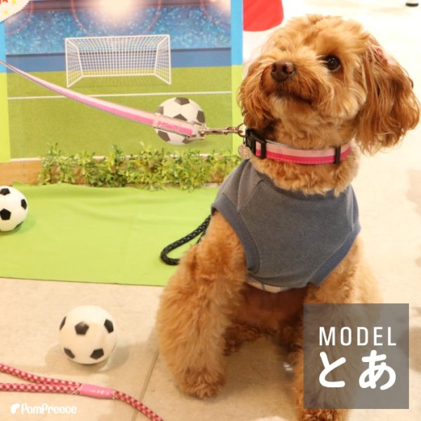 画像8: 【ポイント10倍で会員様はお得】  おもちゃ ボール 小型犬 大型犬 ペット用品 音の出るおもちゃ ペットぬいぐるみおもちゃ 猫噛む 投げるおもちゃ  (8)