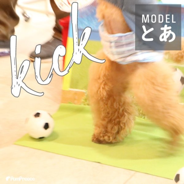 画像9: 【ポイント10倍で会員様はお得】  おもちゃ ボール 小型犬 大型犬 ペット用品 音の出るおもちゃ ペットぬいぐるみおもちゃ 猫噛む 投げるおもちゃ  (9)