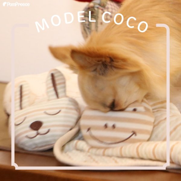 画像7: 【ポイント10倍で会員様はお得】 Pee Pee TOY フェアオーガニック ネムネムスリッパ【1.ウサギ・2.カエル】 (7)