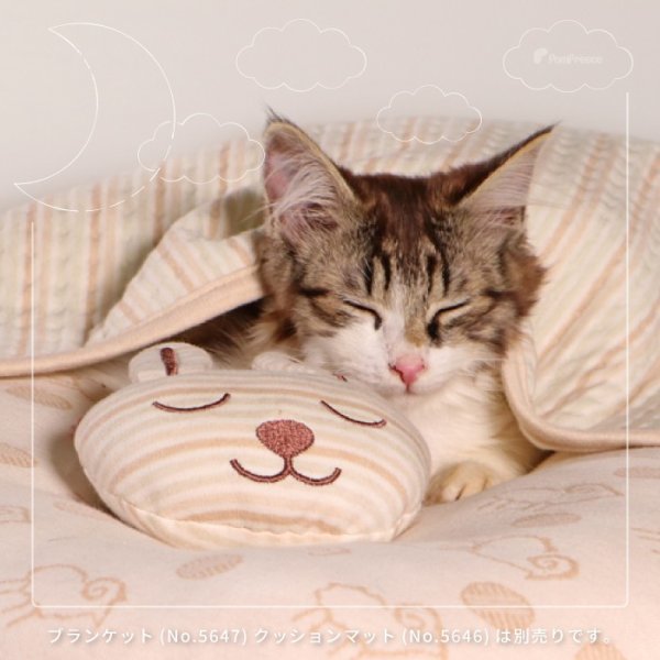 画像6: 【ポイント10倍で会員様はお得】 Pee Pee TOY フェアオーガニック ネムネムスリッパ【1.ウサギ・2.カエル】 (6)