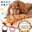 画像3: 【ポイント10倍で会員様はお得】 デンタル PeePeeTOY アニマルフレンド【ウサギ・クマ・キリン】 (3)