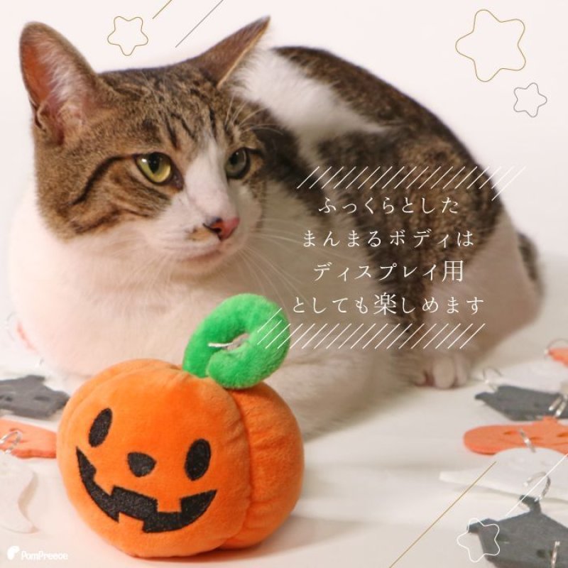 画像6: PeePeeTOY パンプキンスマイル (6)