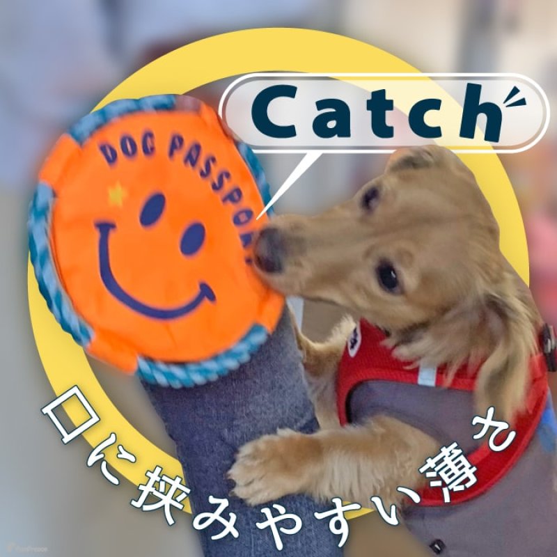 画像3: デンタルロープTOY KASAKASA スマイルフリスビー 【Sサイズ】 (3)