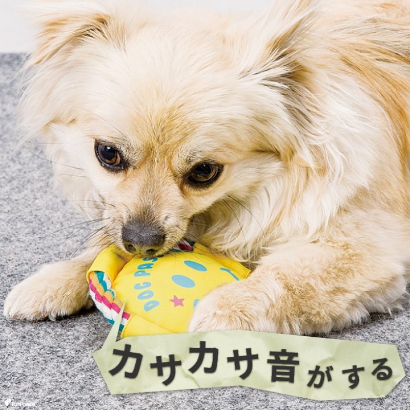 画像4: デンタルロープTOY KASAKASA スマイルフリスビー 【Sサイズ】 (4)