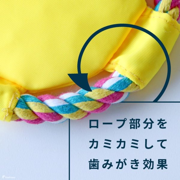 画像7: 【ポイント10倍で会員様はお得】 デンタルロープTOY スマイルフリスビー 【M】 (7)