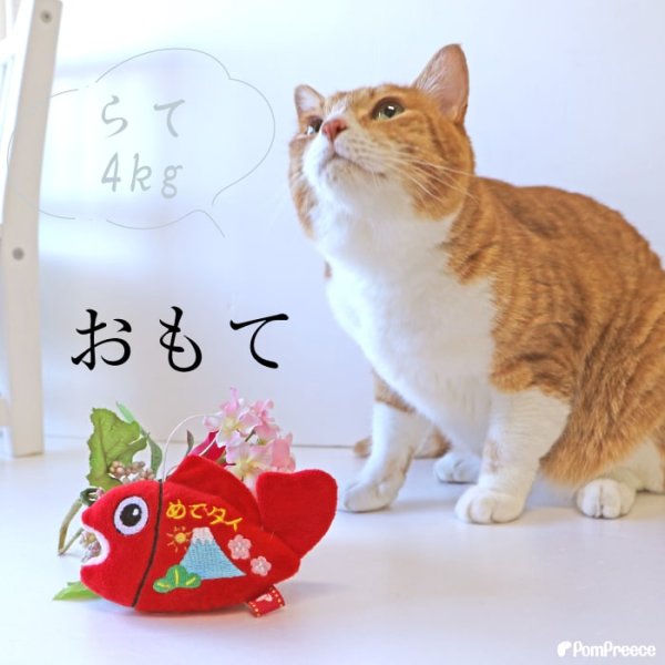 画像5: 【ポイント10倍で会員様はお得】 NEW ！Pee Pee  めでタイ  縁起物  ぬいぐるみ おもちゃ　 (5)