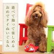 画像9: 【ポイント10倍で会員様はお得】 NEW ！Pee Pee  めでタイ  縁起物  ぬいぐるみ おもちゃ　 (9)