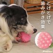 画像3: 【ポイント10倍で会員様はお得】 PVC　健康ボール (3)