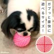 画像2: 【ポイント10倍で会員様はお得】 PVC　健康ボール (2)