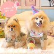 画像2: 【ポイント10倍で会員様はお得】犬猫用 香り付きデンタルロープTOY カップケーキ［4189］ポンポリース (2)