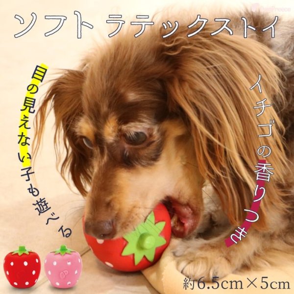 画像1: 【ポイント10倍で会員様はお得】 PeePee付き・鈴入り・イチゴの香り付きラテックスTOY いちご ポンポリース (1)