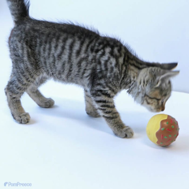 画像3: ラテックスTOY PeePee 鈴入り たこ焼き (3)