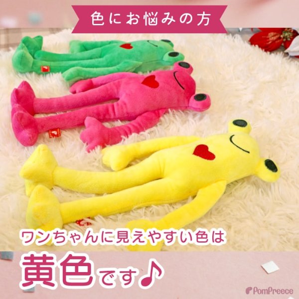 画像6: 【ポイント10倍で会員様はお得】 PeePeeTOY カラフルカエル (6)