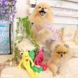画像2: 【ポイント10倍で会員様はお得】 PeePeeTOY カラフルカエル (2)