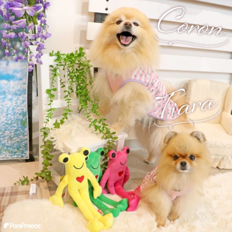 画像2: PeePeeTOY カラフルカエル (2)