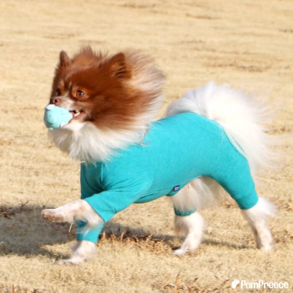 画像3: 【ポイント10倍で会員様はお得】 ラテックスTOY ラブボール 【Sサイズ】 (3)