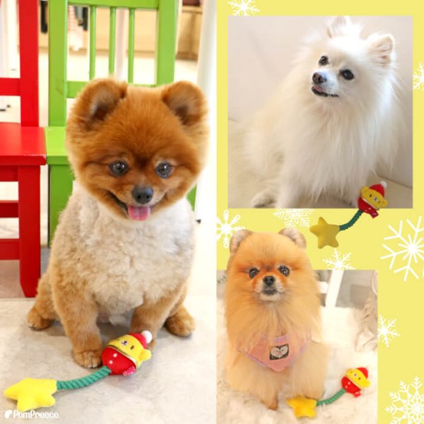 画像4: 【ポイント10倍で会員様はお得】NEW X'mas PeePeeTOY アニマルスター (4)