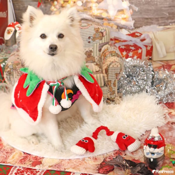 画像8: 【ポイント10倍で会員様はお得】NEW 犬 猫用 おもちゃ PeePeeTOY Xmasハッピー手袋 (8)