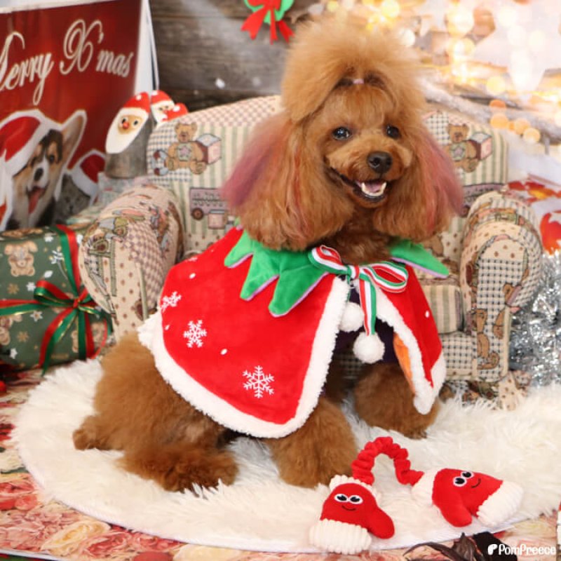 画像9: PeePeeTOY Xmasハッピー手袋 (9)