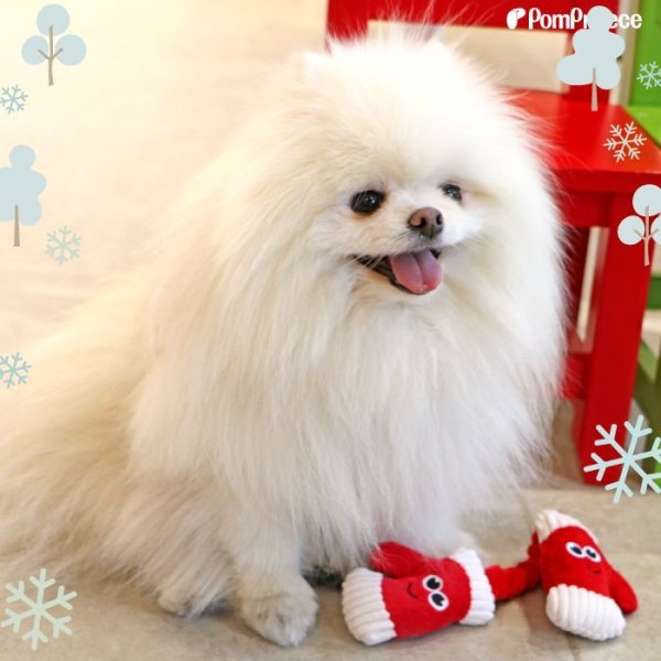 画像3: 【ポイント10倍で会員様はお得】NEW 犬 猫用 おもちゃ PeePeeTOY Xmasハッピー手袋 (3)