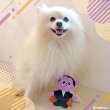 画像12: 【ポイント10倍で会員様はお得】 犬 猫 ペット用おもちゃ PeePeeTOY カサカサ小悪魔くん (12)