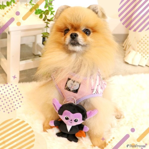 画像13: 【ポイント10倍で会員様はお得】 犬 猫 ペット用おもちゃ PeePeeTOY カサカサ小悪魔くん (13)