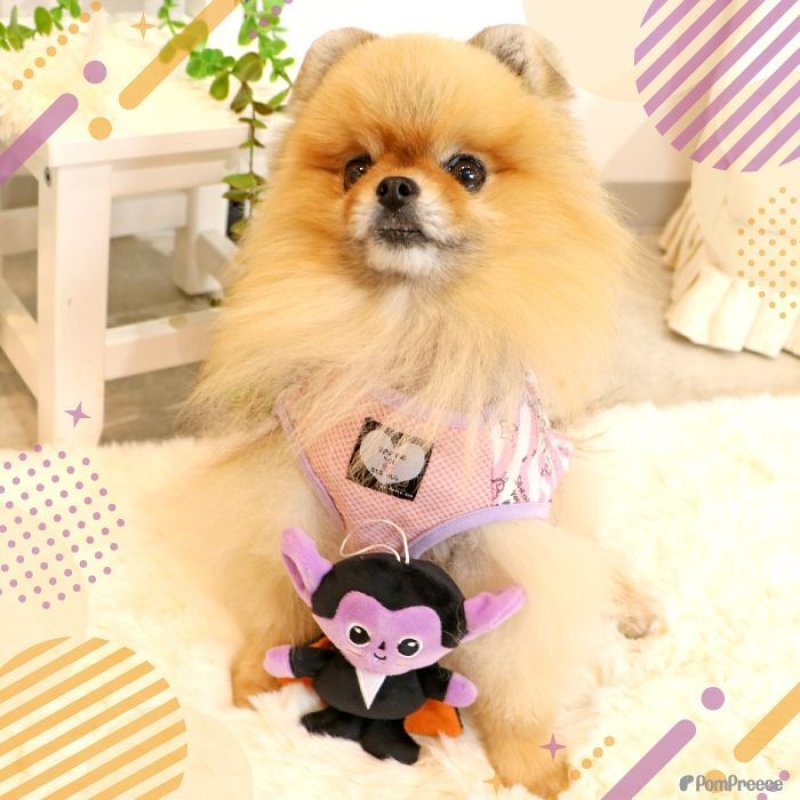 画像13: PeePeeTOY KASAKASA 小悪魔くん (13)