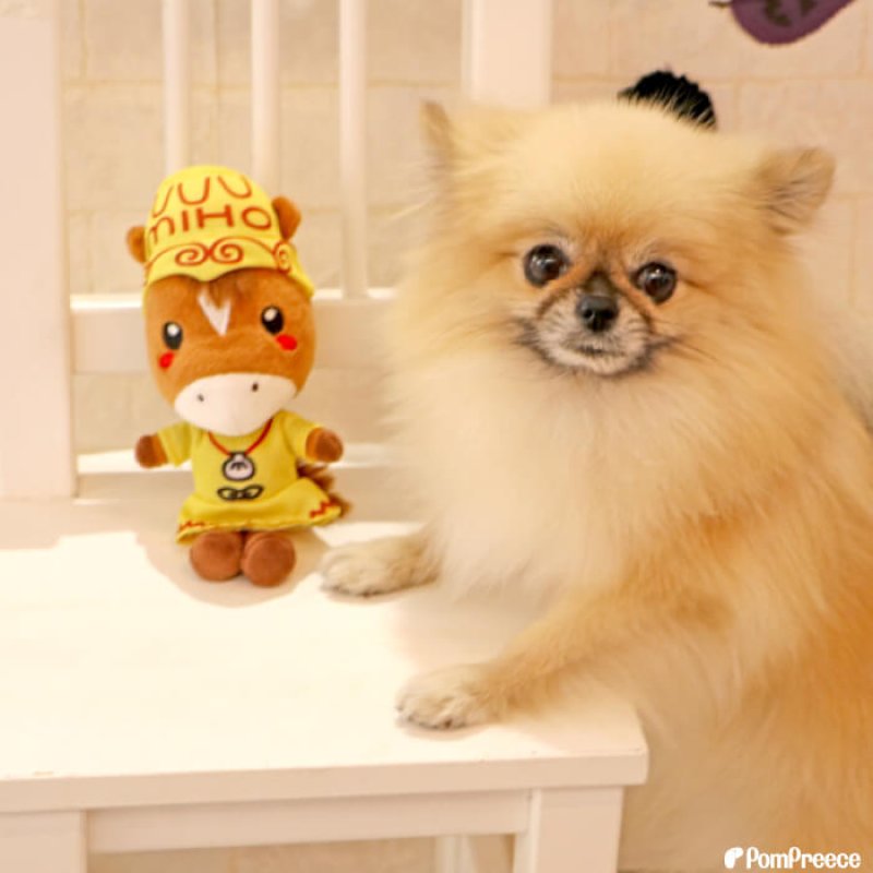 画像14: PeePeeTOY みほーす［美浦村マスコットキャラクター公式コラボ商品］※数量限定 (14)