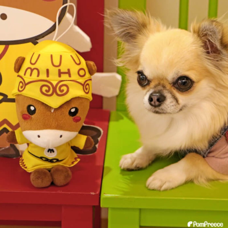 画像15: PeePeeTOY みほーす［美浦村マスコットキャラクター公式コラボ商品］※数量限定 (15)