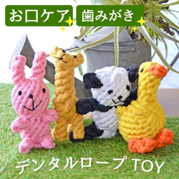 画像7: 【ポイント10倍で会員様はお得】犬猫用おもちゃ デンタルロープTOY　アニマルZOO［4723］ポンポリース (7)