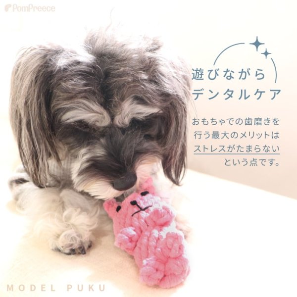 画像2: 【ポイント10倍で会員様はお得】犬猫用おもちゃ デンタルロープTOY　アニマルZOO［4723］ポンポリース (2)