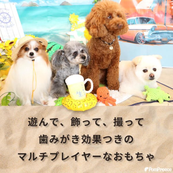 画像2: 【ポイント10倍で会員様はお得】 デンタルロープTOY 生ビール (2)