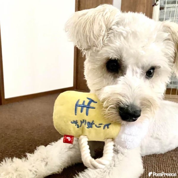 画像5: 【ポイント10倍で会員様はお得】 デンタルロープTOY 生ビール (5)