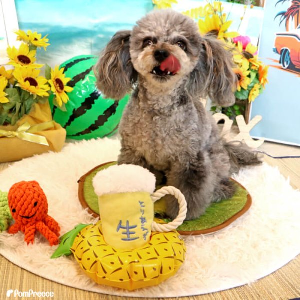 画像3: 【ポイント10倍で会員様はお得】 デンタルロープTOY 生ビール (3)