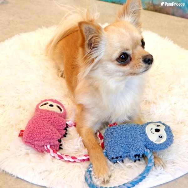 画像13: 【ポイント10倍で会員様はお得] デンタルロープTOY ナマケモノ ピンク1個とブルー1個ずつ　計2個のセット (13)