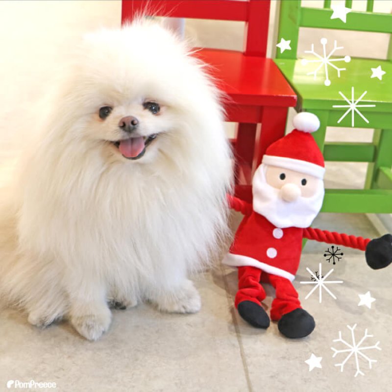 画像13: デンタルロープTOY KASAKASA のびのびサンタさん (13)