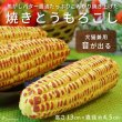 画像8: 【ポイント10倍で会員様はお得】 ラテックスTOY  焼きとうもろこし（鈴入り） (8)