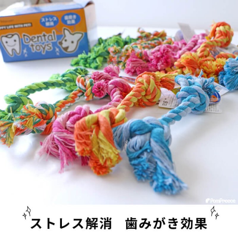画像4: 小型犬用 デンタルロープBOX（20本セット） (4)