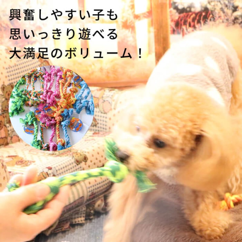 画像6: 小型犬用 デンタルロープBOX（20本セット） (6)