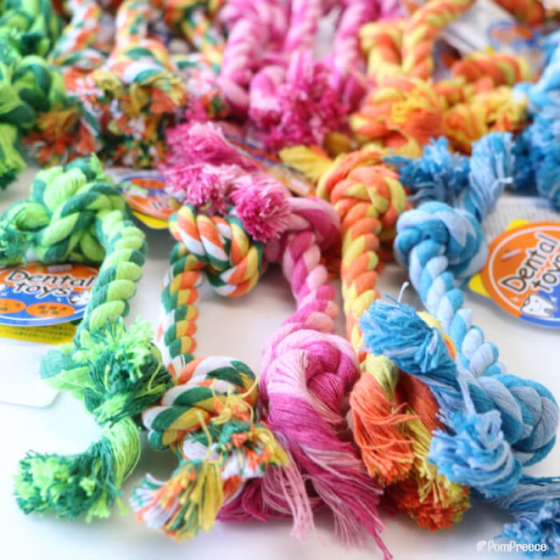 画像7: 小型犬用 デンタルロープBOX（20本セット） (7)