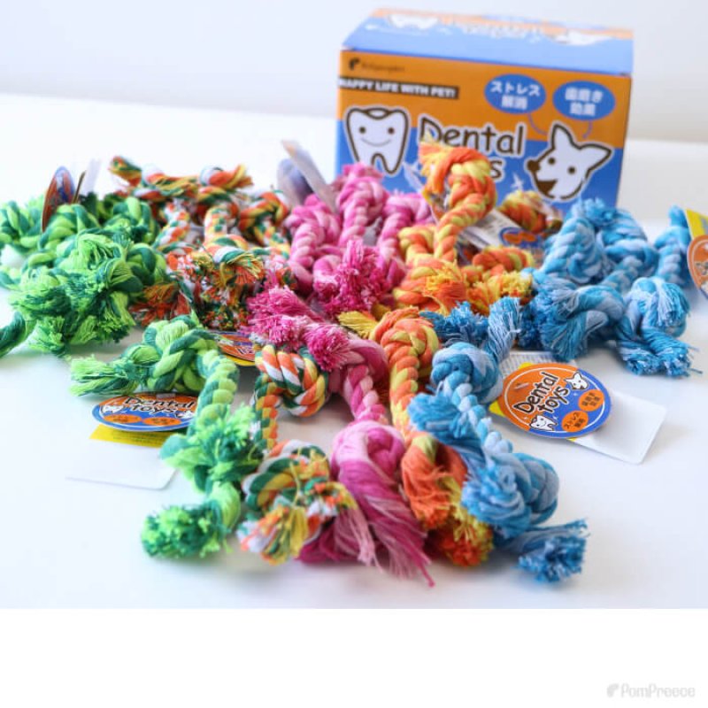 画像9: 小型犬用 デンタルロープBOX（20本セット） (9)