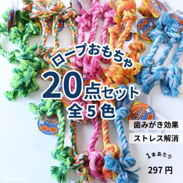 画像1: 【ポイント10倍で会員様はお得】 小型犬用　デンタルロープBOX（20本セット） (1)