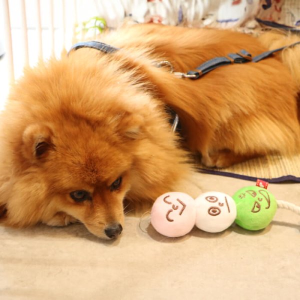 画像8: 【ポイント10倍で会員様はお得】お団子 3色だんご犬・猫兼用 デンタルロープTOY (8)