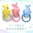 画像4: 【ポイント10倍で会員様はお得】犬猫用おもちゃ デンタルロープTOY イルカショー ［4747］ポンポリース (4)