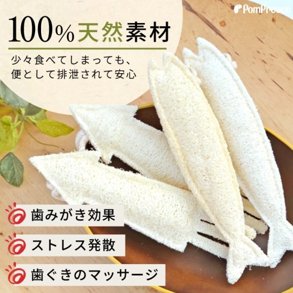 画像9: 【ポイント10倍で会員様はお得】犬 猫 選べるデンタルヘチマTOYデンタルヘチマTOY　ポンポリース (9)